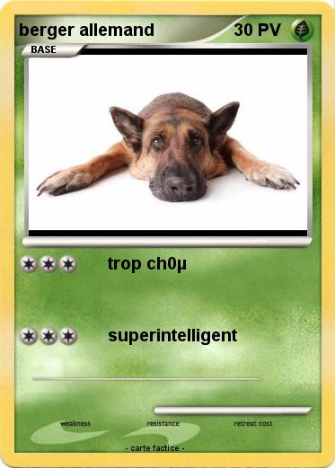 Pokemon berger allemand