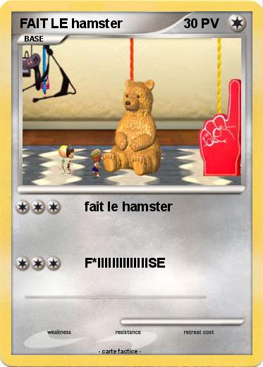 Pokemon FAIT LE hamster