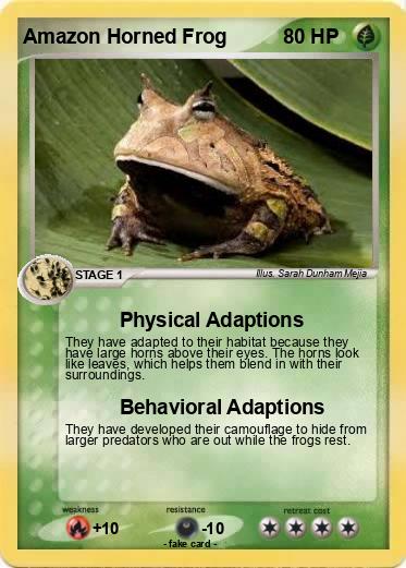 Pokemon Amazon Horned Frog