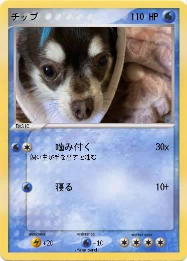 Pokemon チップ