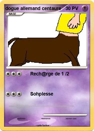 Pokemon dogue allemand centaure