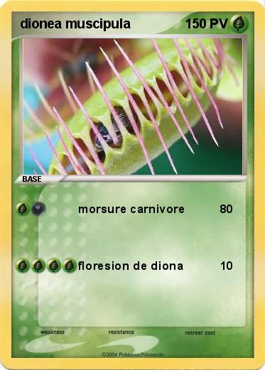 Pokemon dionea muscipula