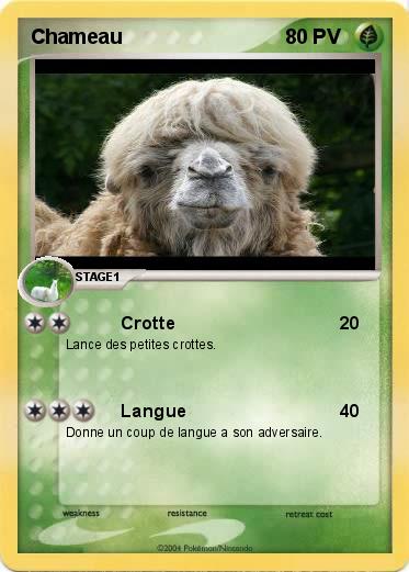 Pokemon Chameau