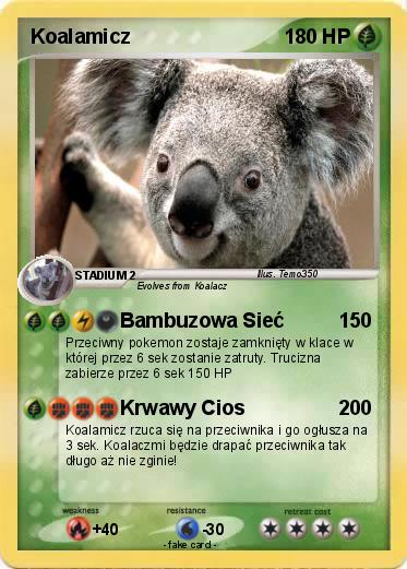Pokemon Koalamicz