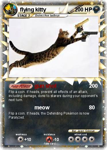 Pokemon flying kitty