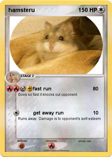 Pokemon hamsteru