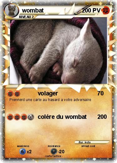 Pokemon wombat