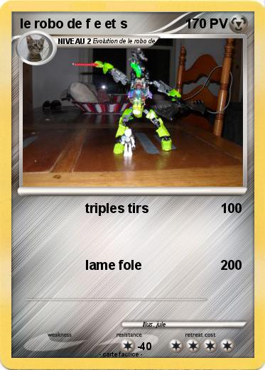 Pokemon le robo de f e et s