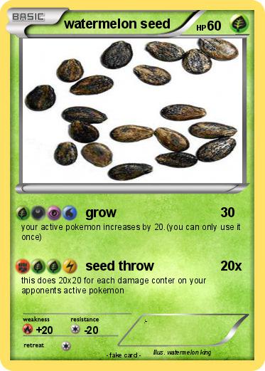 Pokemon watermelon seed