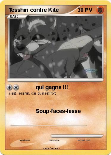 Pokemon Tesshin contre Kite