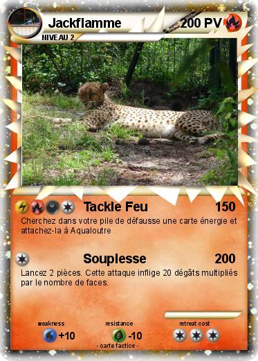 Pokemon Jackflamme