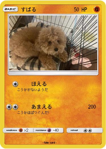 Pokemon すばる