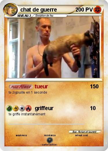 Pokemon chat de guerre