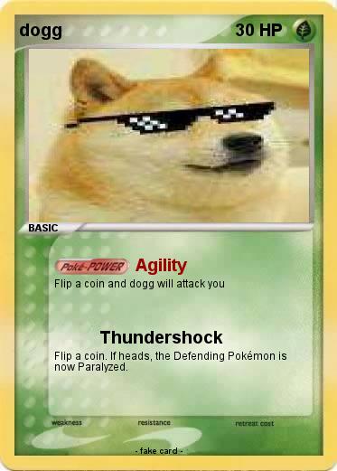 Pokemon dogg