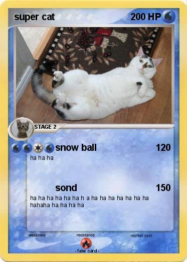Pokemon super cat