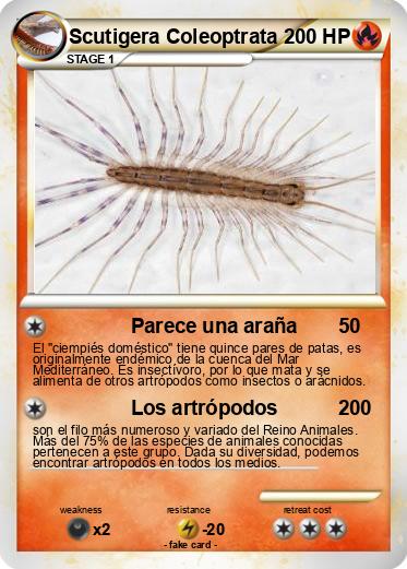 Pokemon Scutigera Coleoptrata