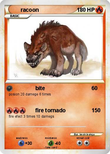 Pokemon racoon