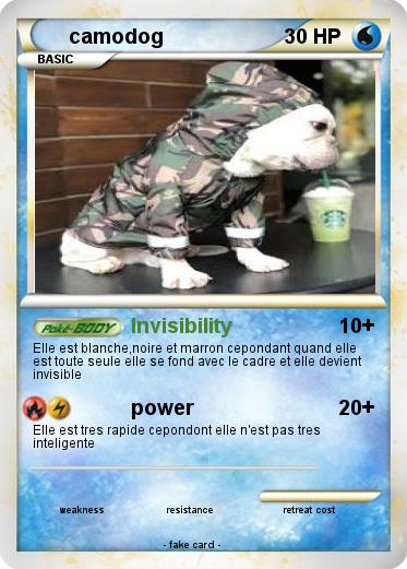 Pokemon camodog