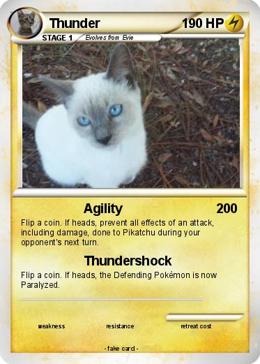 Pokemon Thunder
