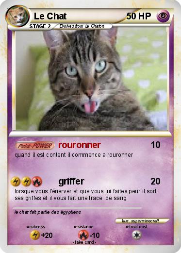 Pokemon Le Chat