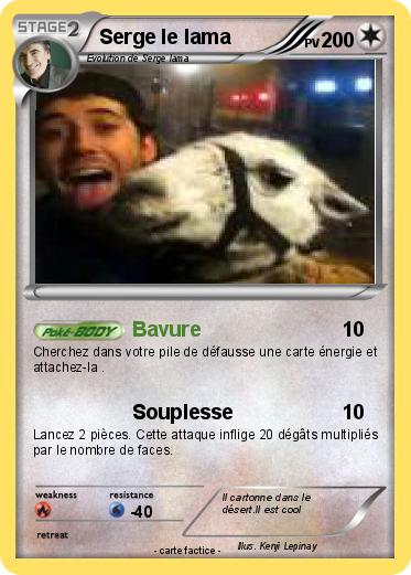 Pokemon Serge le lama