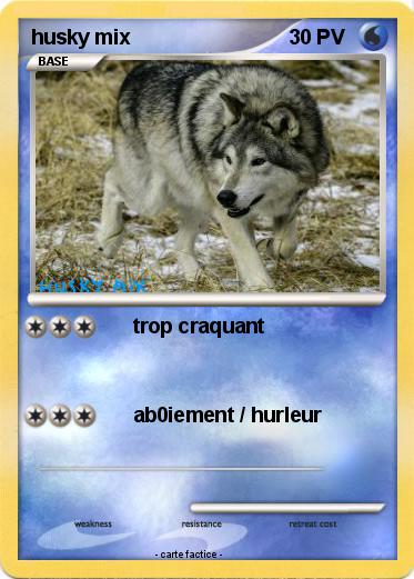 Pokemon husky mix