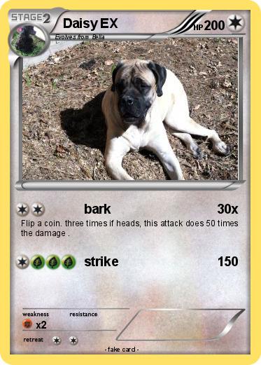 Pokemon Daisy EX
