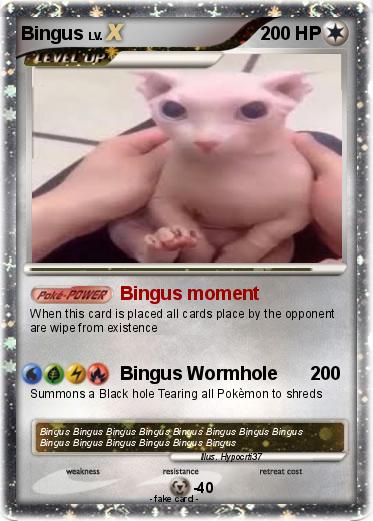 Pokemon Bingus