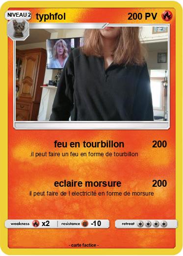 Pokemon typhfol