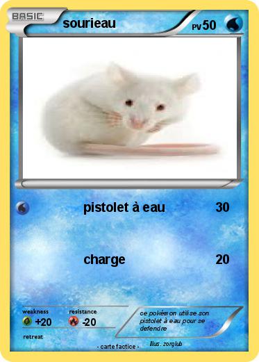 Pokemon sourieau