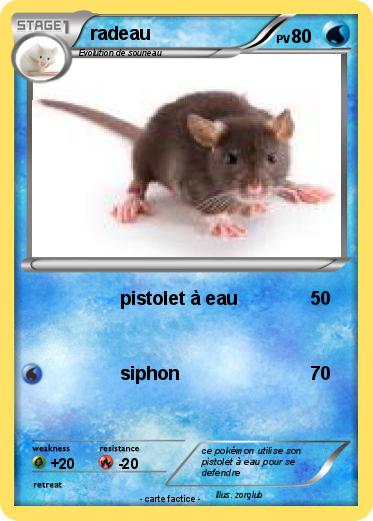 Pokemon radeau