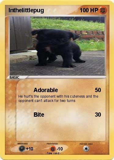 Pokemon Inthelittlepug