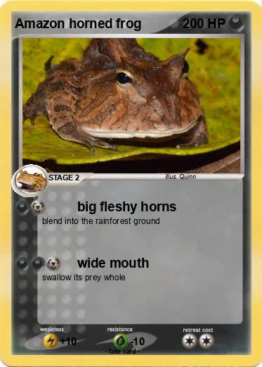 Pokemon Amazon horned frog