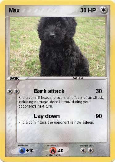 Pokemon Max