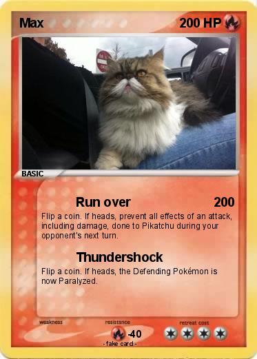 Pokemon Max