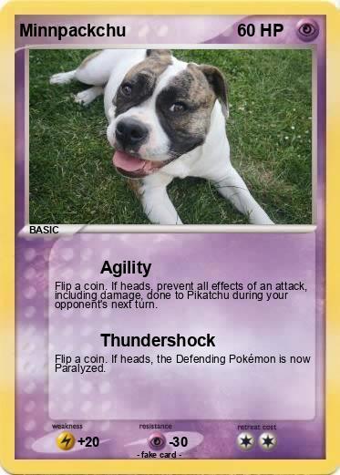 Pokemon Minnpackchu