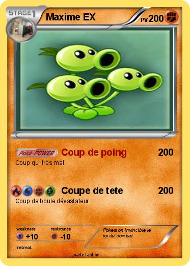 Pokemon Maxime EX