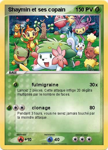 Pokemon Shaymin et ses copain
