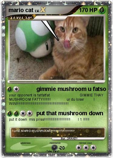 Pokemon mario cat