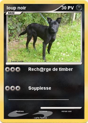 Pokemon loup noir