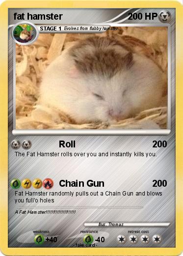 Pokemon fat hamster