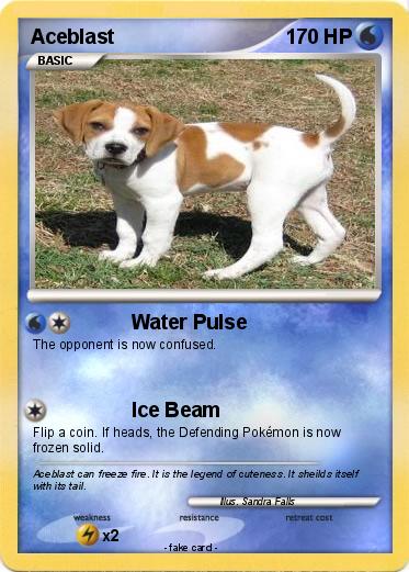 Pokemon Aceblast