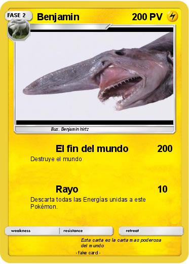 Pokemon Benjamin