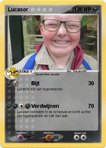 Pokemon Lucasor