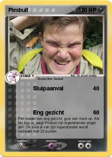 Pokemon Pimbull