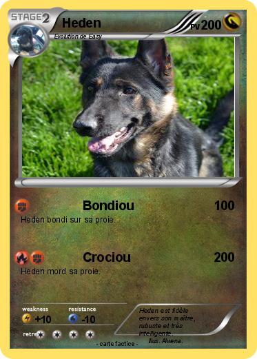 Pokemon Heden
