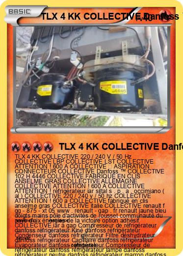 Pokemon TLX 4 KK COLLECTIVE Danfoss ™