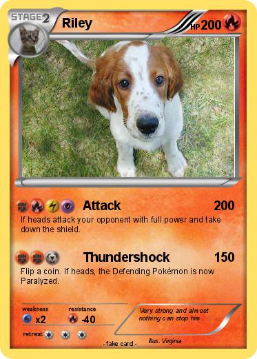 Pokemon Riley