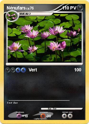 Pokemon Nénufars