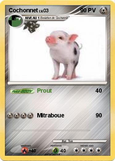 Pokemon Cochonnet